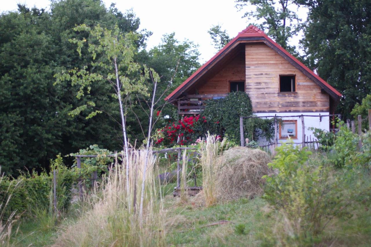 Holiday Home Trnavsko Bogojina Exterior photo