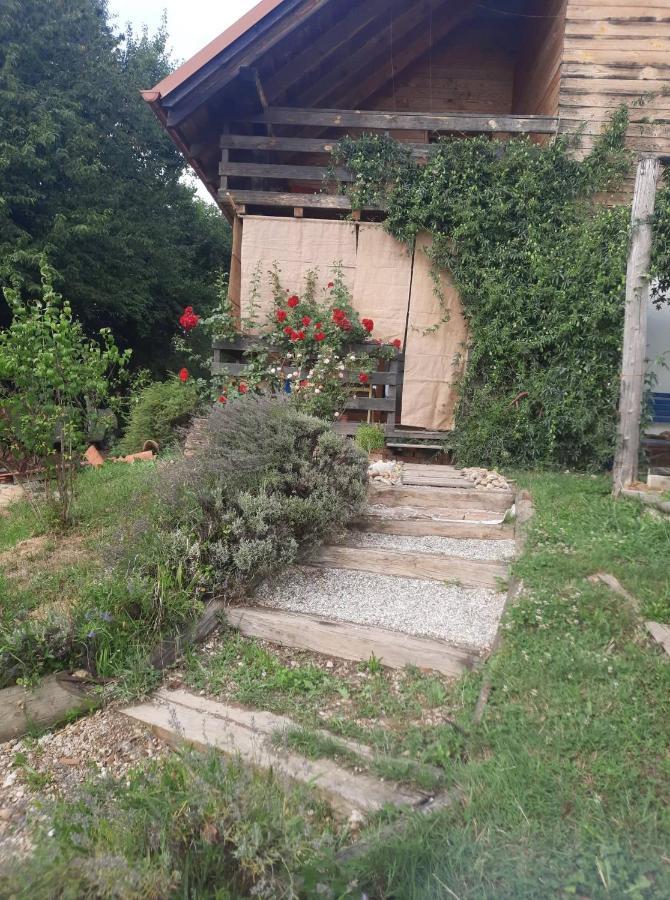 Holiday Home Trnavsko Bogojina Exterior photo