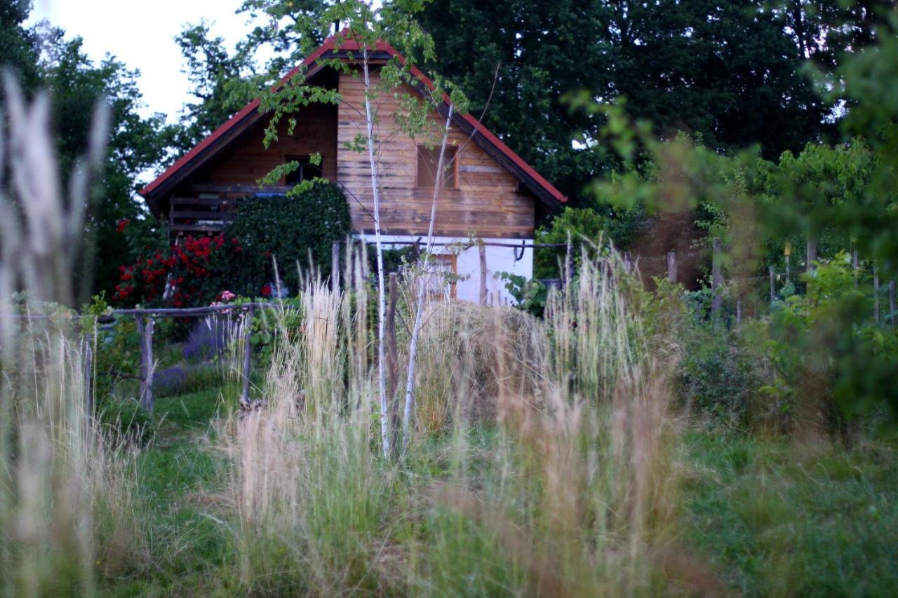 Holiday Home Trnavsko Bogojina Exterior photo